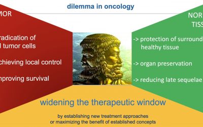 Advancements in Hadron Therapy for CNS Tumors: Insights from Semi Harrabi’s Presentation at the Heidelberg Ion Beam Therapy Center