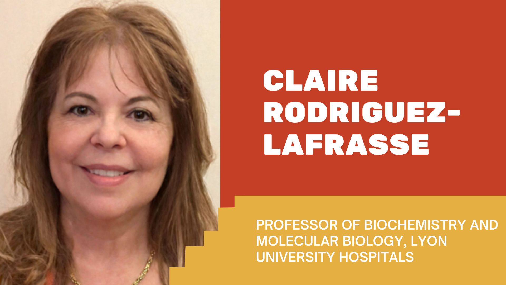 HITRIplus Seminars (4)